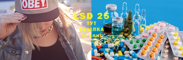 PSILOCYBIN Остров
