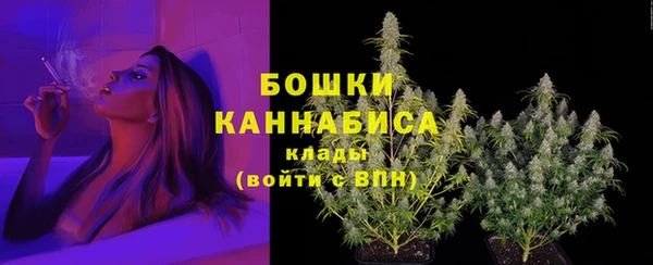 PSILOCYBIN Остров
