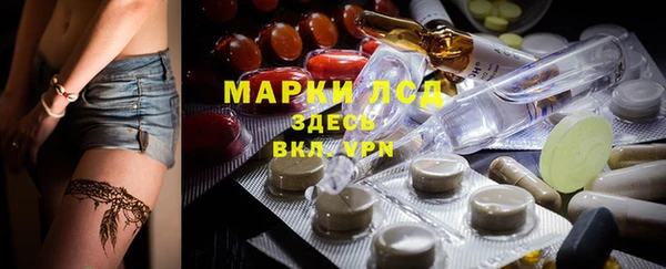 сатива Пестово